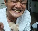 様々なお悩み解決します 人に言えない悩み即解決します! イメージ1