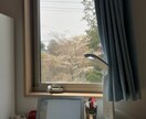 理学療法士の学生さん向け！実習レポート手伝います 理学療法学部の学生さん！実習前の勉強ポイントお伝えします。 イメージ1