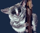 ペットやご家族似顔絵制作します デザイン性もあるペットのイラスト作成 イメージ5
