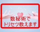 数秘術でパートナーの扱い方をアドバイスします 夫婦仲を良好にする相手を理解する為のトリセツ教えます イメージ1