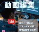 カット・テロップ・BGM入れ！動画編集します 現役クリエイターがワンランク上の動画編集をします イメージ1
