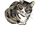 snsアイコンやイラスト描いてます 女の子と猫ちゃんを描くのが得意です イメージ5