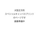 大型正方形キャンバスにイラストをプリントします インパクト大の側面までプリント出来るキャンバスプリント イメージ1