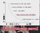 スポーツの使える筋肉を作る筋トレ理論お伝えします アスリートのトレーナーが動画付きで筋トレをアドバイス！ イメージ9