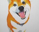 オリジナルのイラストを制作します。ます イラスト使用する目的をわかりやすくお知らせください。 イメージ2