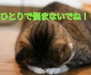 家族に分かって貰えない家庭の愚痴トコトン受取めます 4つの顔持つ私が、あなたの理解者になります。 イメージ2