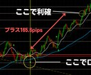専業FXトレーダーが使用する秘密の手法を教えます 相場にビビる必要一切なし！正攻法を伝授してあなたを勝ち組に！ イメージ3