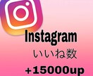 インスタいいね数を＋1.5万個増やします Instagram再生回数いいね数増加、IGTV・リール対応 イメージ5