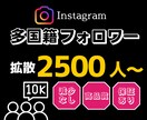 インスタグラムの外国人フォロワーを増やします 高品質なフォロワー◎ 全世界にあなたをPR！ イメージ1