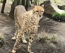 現役カウンセラーがあなたの気持ち受け止めます 愚痴でもお悩みでも雑談でも...話してスッキリしませんか？ イメージ10