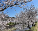 仕事のストレス相談乗ります 悲しい、不安、モヤモヤ、辛い、涙が出る、うつ病、適応障害 イメージ4