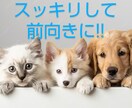 心軽やかに！スッキリして下さい。愚痴お聞きします 気持ちリフレッシュ！ストレス解消タイム。気軽にお話し下さい！ イメージ7