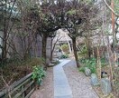 毎日寂しい貴方とメッセージや通話等でやりとりします 365日受け付けします。毎日貴方の味方 イメージ1