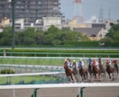 東京競馬場で使う超簡単な馬券術教えますます 競馬新聞・血統・調教など一切使用しません。オッズの確認のみ。 イメージ6