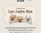 犬写真入ほね型多頭ペット用カートプレート作成します イベントが楽しくなる！デザイナーの高品質セミオーダー送料込 イメージ6