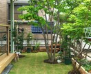 園芸初心者の方に開花するまで丁寧にお教えします 人気のCCR(バラ クレマチス クリスマスローズ)も是非！ イメージ1
