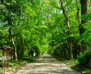 今世の真の使命を明らかにしてカルマ浄化の鑑定します なぜ同じ悩みが起きるのか？｜魂が歩んだストーリーと今世の使命 イメージ7