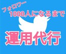 ツイッターのフォロワーを0⇨1000人にします 10日間でフォロワーを1000人まで運用代行！受付中止 イメージ1