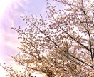 働く貴方の心に共感します 誰かに話を聞いてほしい…。貴方のお話を心からお聴きします。 イメージ5