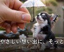 愛犬愛猫の写真を動く想い出ムービーにします あの子がもう一度動き出す。追悼にも、記念日の贈り物にも。 イメージ3