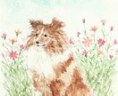 大切なペットを、丁寧に水彩で描き実物をお届けします 実際の原画をフレームに入れてお届けします イメージ3
