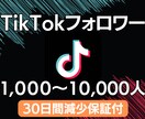 TikTokフォロワー＋1,000人増やします ⭐️30日間減少保証付⭐️追加で＋10,000人まで可能❗️ イメージ1