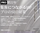 プロ22年が丁寧に満足するまで！制作につきあいます プロが分析して強いSEO！集客に強い！ホームページ！作成 イメージ1