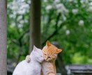 貴女の望む未来は、2人の未来にリンクできます 気持ちを届けて繋げるサポーター♡浄化のポイント教えます イメージ6