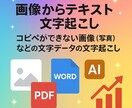 24時間以内に画像からテキスト文字起こしします コピペができない画像（写真）などの文字データの文字起こし イメージ1