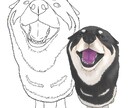 うちの子塗り絵お描きします ペットなどのお好きな動物を自分色で彩ってみませんか イメージ3