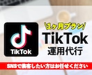 3名様限定｜お客様の目的達成まで低価格で運用します TikTok運用のプロが全てのノウハウを使って伸ばします イメージ1