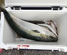 釣り初心者の方にアドバイス致します 釣り初心者方に分かりやすくアドバイスいたします！ イメージ2