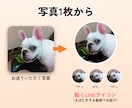 ぴよむす｜動くLINEアイコン＆背景を作ります ペットの写真がまばたき！LINE専用の仕上げでお届け イメージ3