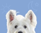 ペット名刺（PET NAME CARD）制作します セミオーダータイプ・50枚単位で注文可能！ イメージ2