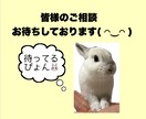 全ての悩み、ストレスを安心して話せる場所にします 私が経験してきたことを元に丁寧に傾聴致します イメージ6