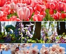 instagramグリット投稿用画像を作成致します グリット投稿で見に来た人があっと驚くマイページに！ イメージ1