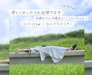 なんでも包み込みます お話し相手 / 愚痴聞き / 暇つぶし♪ イメージ1