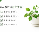 何度も挫折した人ほど試していただきたいと思います 瘦せる知識より、リバウンドを防ぎ続く習慣を。 イメージ7