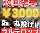 10分3千円！フルテロップでまるっと編集代行します 面倒な文字起こし・テロップ入れは、プロに任せて時短！ イメージ1