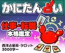 転職･仕事運占い│西洋占星術で取説お見せします 3000字＊未来の悩みスッキリ開運！本気で変えたい方向け イメージ1