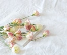 女性限定⭐︎モテてたのにな..お気持ちお察しします 沢山恋愛してきたのになぜ結婚できないの？を紐解きましょう イメージ4