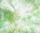 そっとあなたの心に寄り添います あなたとこころの中を笑顔にするよ(⁠ ⁠◜⁠‿⁠◝⁠ ⁠)⁠ イメージ3