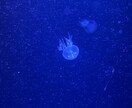 友達感覚でお聞きし( ´ ▽ ` )ます なんでも聞きます、受け止めます イメージ1