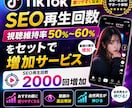 TikTok視聴率維持率とSEO再生回数増やします 高視聴維持率付きの再生回数を2000回増加します！収益化対応 イメージ10