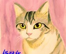 貴方の大切な猫や犬を描きます。 イメージ3