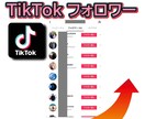 TikTokのフォロワー拡散して100人増やします 【保証付】TikTok/フォロワー/世界中拡散 イメージ2