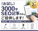 お試しで3000字SEO記事のみをご提供します 全国48校・累計600本の納品実績をご体感ください イメージ1