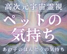 ペットの気持ちを霊視します｜虹の橋から届けます 魂の約束・あなたへの本当のメッセージを読み解きます イメージ1