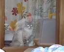自分の感情がより相手に伝わる簡単魔法の方法教えます 気持ちが伝わったら嬉しいですよね。伝えるって大事ですよね。 イメージ2