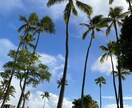 ハワイの様子をお届けします ハワイの今、イベントのリアルをあなたにお届け致します イメージ4